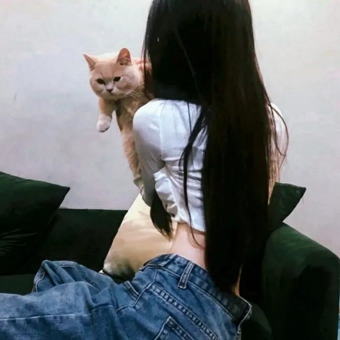精采的尸体
